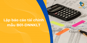 báo cáo tài chính mẫu B01-DNNKLT