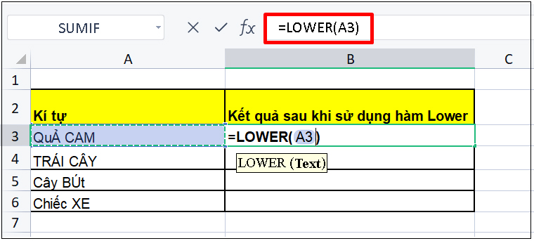 Ví dụ cho hàm LOWER trong Excel