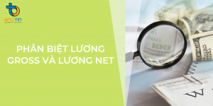 Cách phân biệt lương gross và lương net như thế nào?